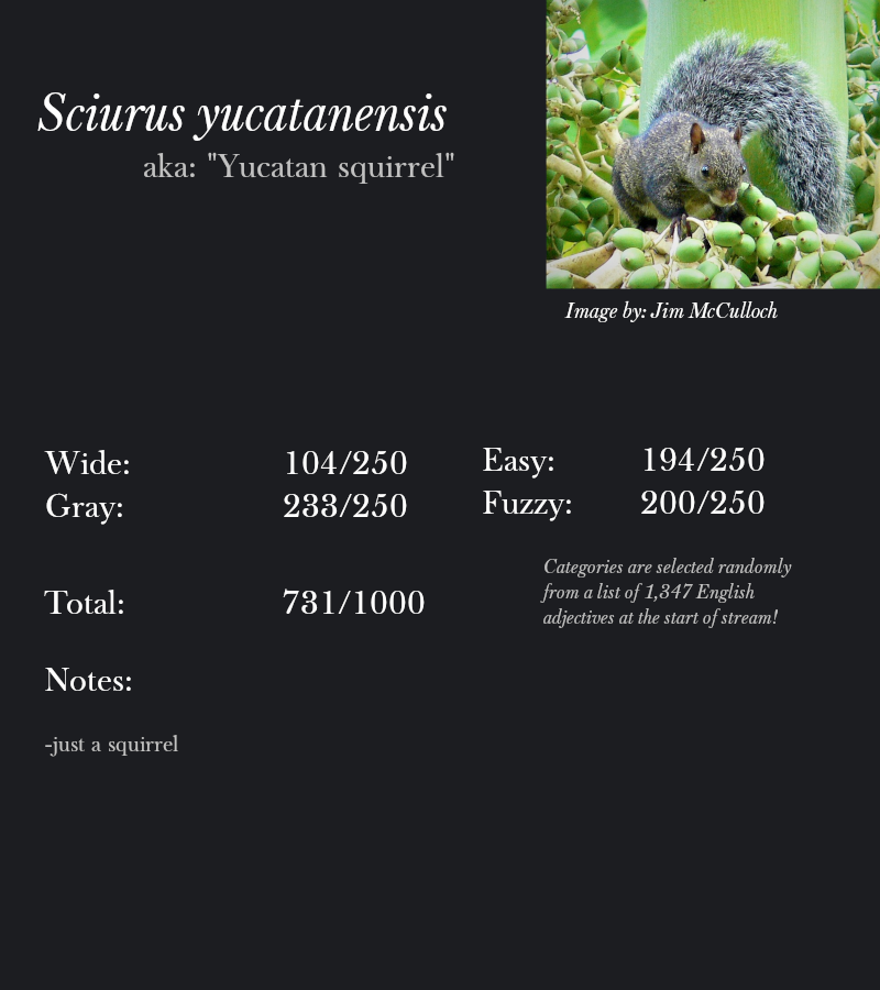 Sciurus yucatanensis